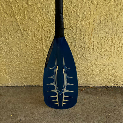 Carbon Paddle