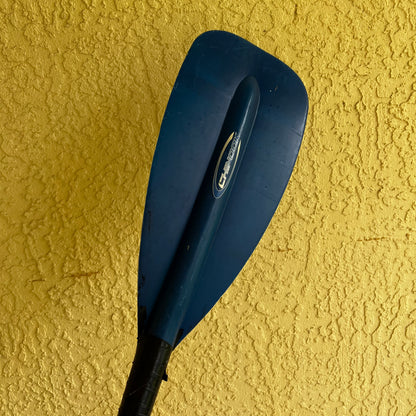 Carbon Paddle