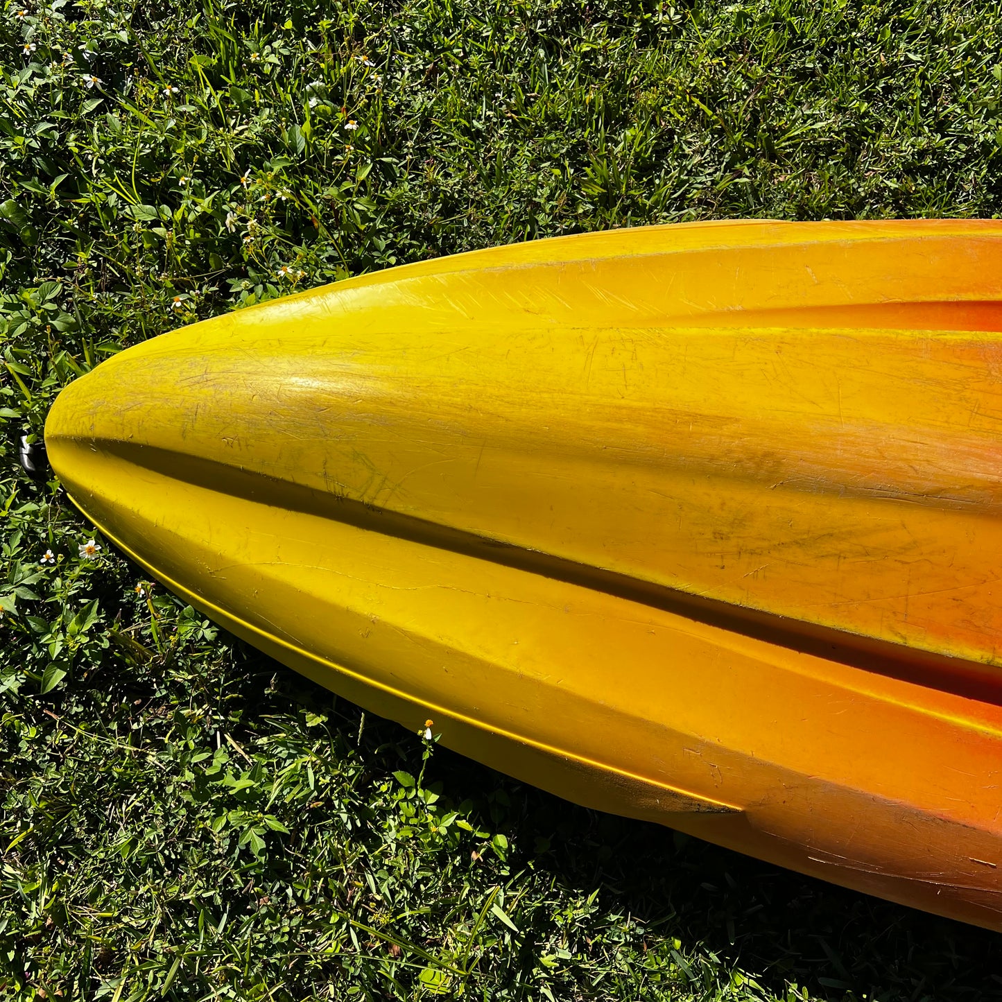 Double Kayak - Used