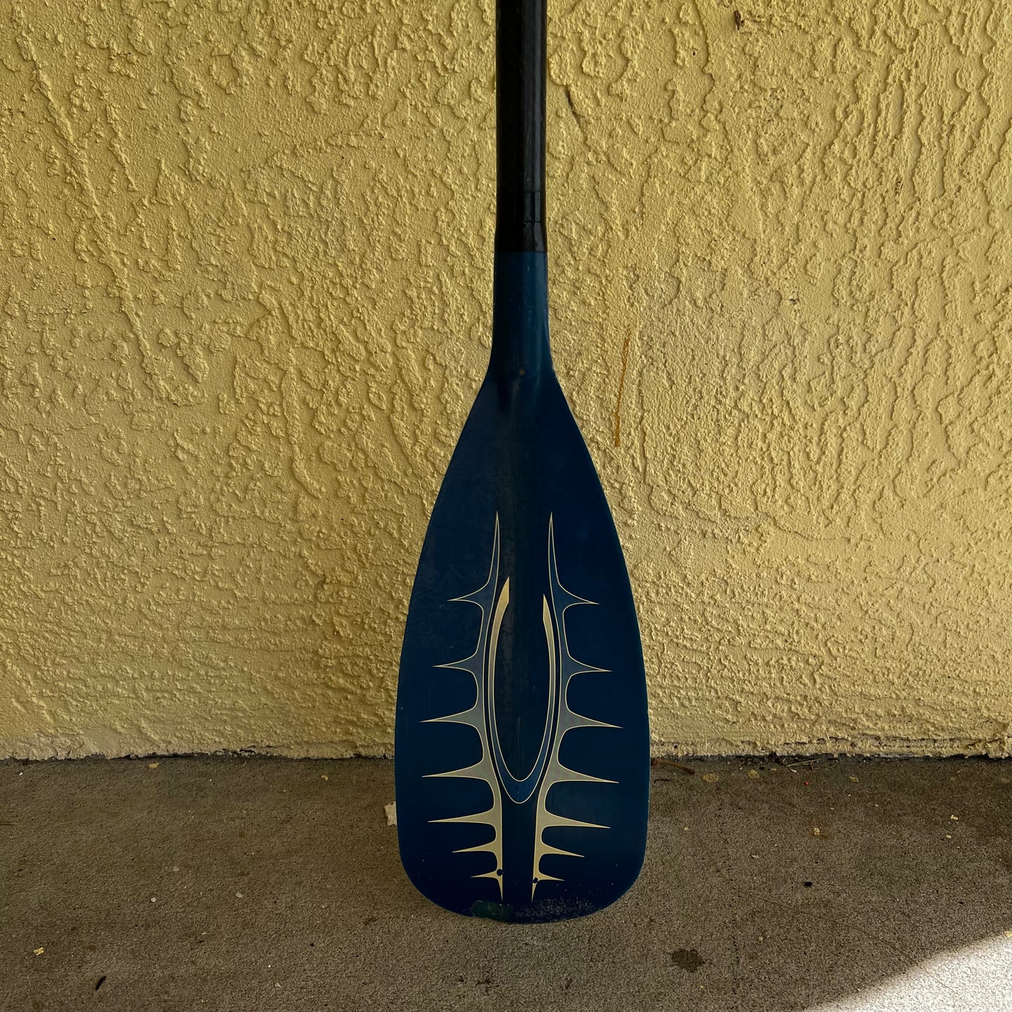 Carbon Paddle