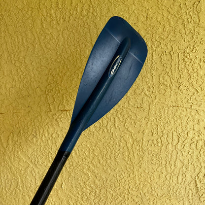 Carbon Paddle