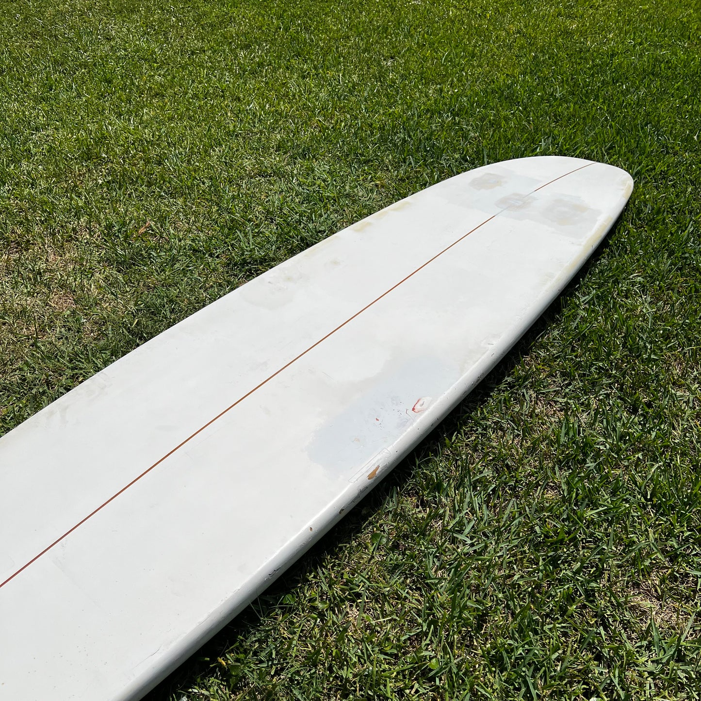 Paddle Board